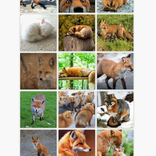 Uendeligt galleri billede 2