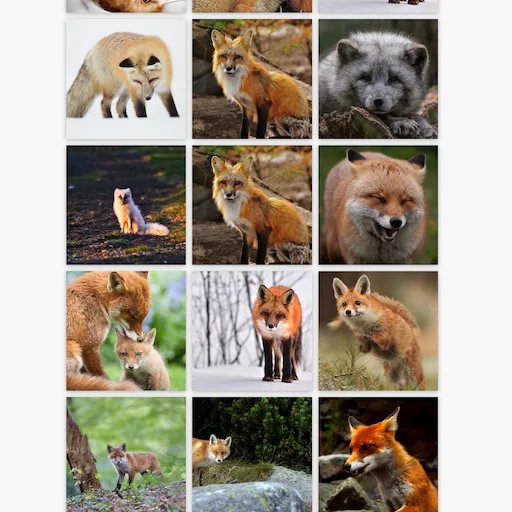 Uendeligt galleri billede 4